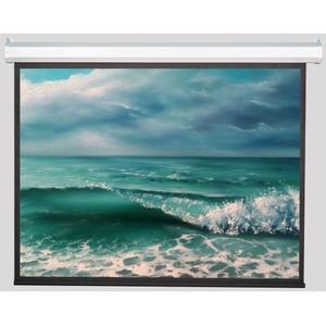 Экран для проектора ViewScreen Antis (4:3) 508*384 (496*372) MW