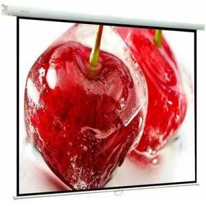 Экран для проектора ViewScreen Antis (4:3) 508*384 (496*372) MW