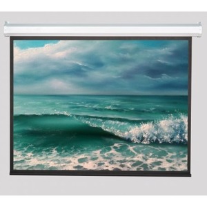 Экран для проектора ViewScreen Antis (4:3) 610*460 (598*448) MW