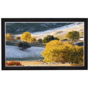 Экран для проектора ViewScreen Omega (16:10) 250*162 (234*146) MW