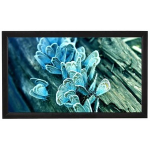 Экран для проектора ViewScreen Omega (16:9) 280*163 (264*147) MW