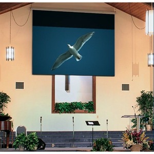Экран для дома, настенно потолочный с электроприводом Draper Targa (16:10) 313/123 165*264 XT1000E (MW)