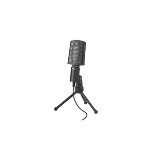 Вокальный микрофон (конденсаторный) Ritmix RDM-125 Black