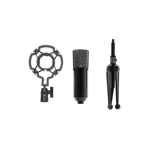 Вокальный микрофон (конденсаторный) Ritmix RDM-160 Black