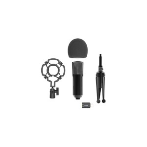 Вокальный микрофон (конденсаторный) Ritmix RDM-160 Black