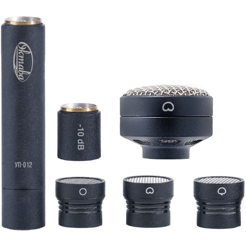 Микрофон студийный конденсаторный Октава МК-012-40 никель в деревянном футляре