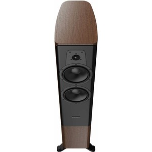 Напольная акустика Dynaudio Contour 30i Walnut wood