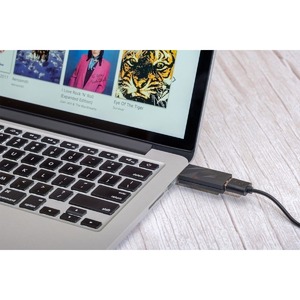 Оптимизатор звукового поля iFi Audio iSilencer+ USB-C to USB-A