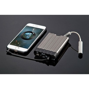 Усилитель для наушников портативный iFi Audio xCAN