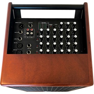 Комбоусилитель универсальный Prodipe PRONATURAL06