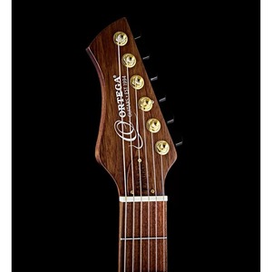 Классическая гитара со звукоснимателем Ortega Flametal-Two