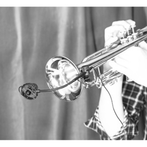 Микрофон для медных духовых/перкуссии Prodipe PROSB21