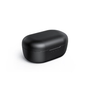 Наушники внутриканальные беспроводные FiiO FW1 Black