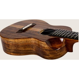 Укулеле Flight SPIRIT CONCERT EQ-A