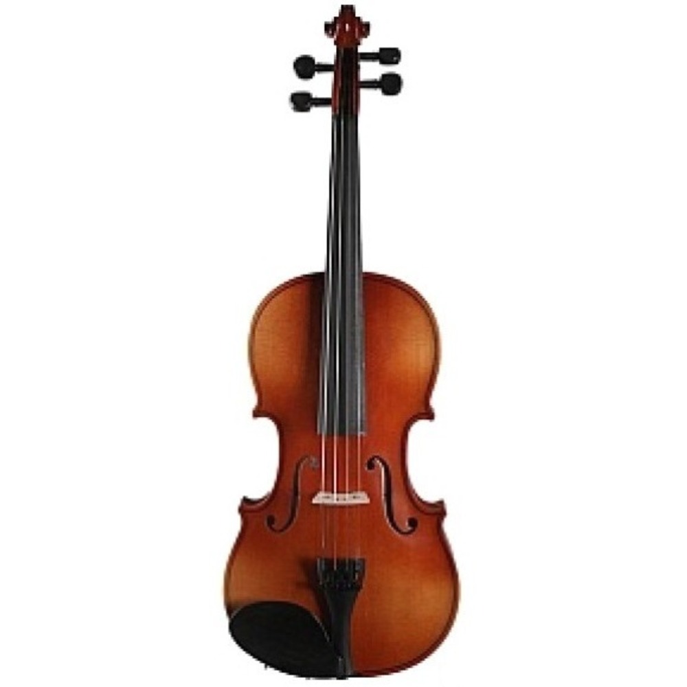 Скрипка студенческая размер 1/2 Strunal 150A-1/2