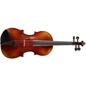 Скрипка 4/4 Strunal 206-4/4