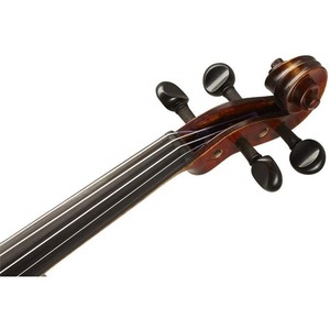 Скрипка 4/4 Strunal 206-4/4