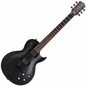 Электрогитара Les Paul SX PEG2/BK
