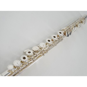 Флейта Artist AF-800RBSSOGC HJS