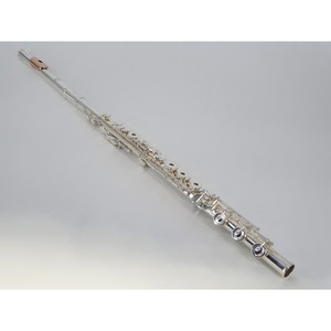 Флейта Artist AF-800RBSSOGC HJS