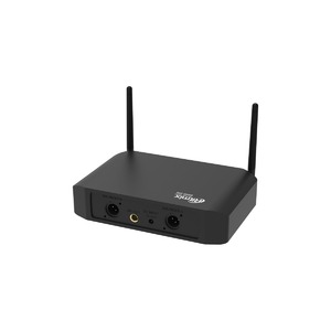 Радиосистема на два микрофона Ritmix RWM-222 black