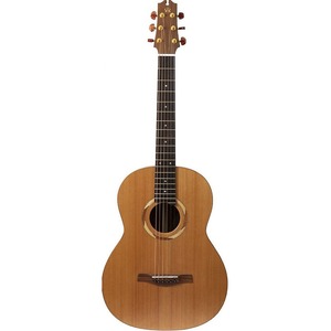 Акустическая гитара NewTone N17GAASNRW