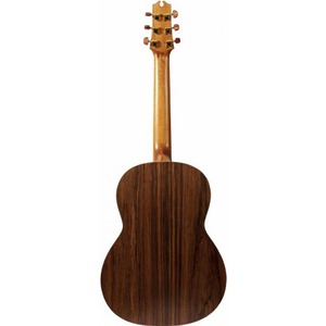 Акустическая гитара NewTone N17GAASNRW