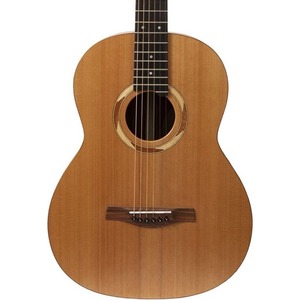 Акустическая гитара NewTone N17GAASNRW