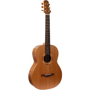 Акустическая гитара NewTone N17GAASNRW