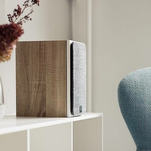 Активная акустика Dali OBERON 1 C LIGHT OAK