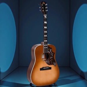 Электроакустическая гитара Sigma DM-SG5