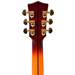 Электроакустическая гитара Sigma SGJA-SG200
