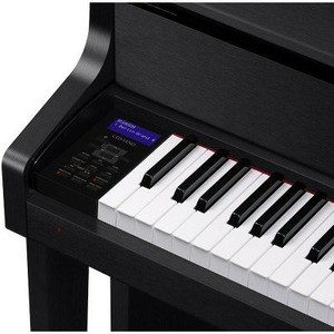 Пианино цифровое Casio Celviano GP-310BK