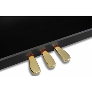 Пианино цифровое Casio Celviano GP-510BP