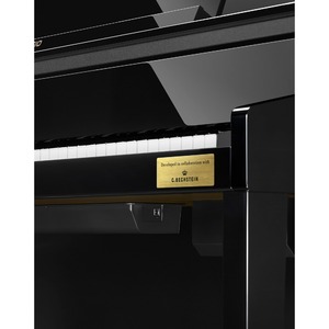 Пианино цифровое Casio Celviano GP-510BP