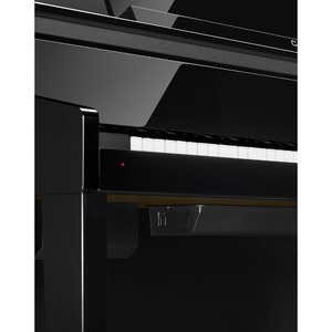 Пианино цифровое Casio Celviano GP-510BP