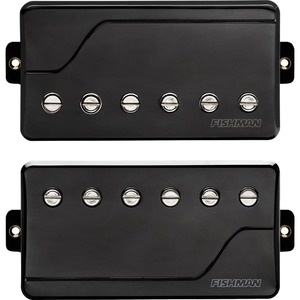 Звукосниматель Fishman PRF-CSB-DT2