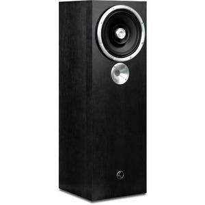 Напольная акустика Zu Audio Omen Dirty Weekend Black