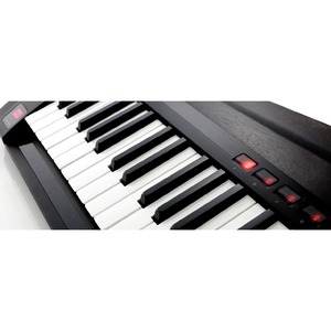 Цифровой синтезатор KORG RK100S-2 BK
