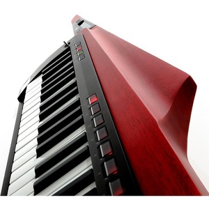 Цифровой синтезатор KORG RK100S-2 RD