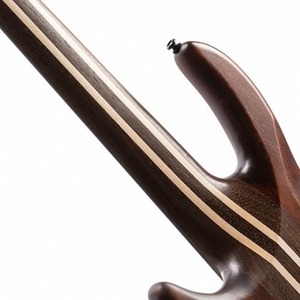 Бас-гитара Cort A5-Ultra-Ash-ENB