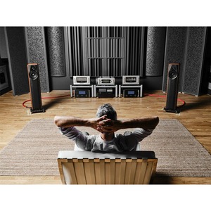 Напольная акустика Sonus Faber Maxima Amator