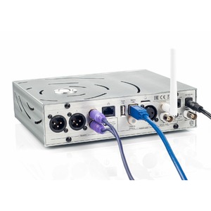 ЦАП транзисторный iFi Audio Pro iDSD 4.4