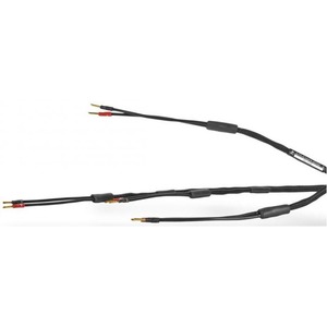 Акустический кабель Single-Wire Banana - Banana Synergistic Research ATMOSPHERE X LEVEL 1 ALIVE 3.0 m