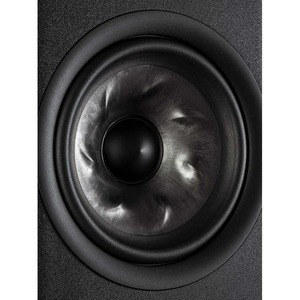 Полочная акустика Polk Audio Reserve R100 Black