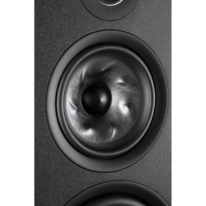 Напольная акустика Polk Audio Reserve R700 Black