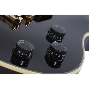 Электрогитара Schecter TEMPEST Custom BLK