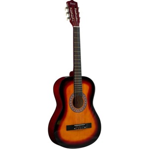 Классическая гитара TERRIS TC-3801A SB