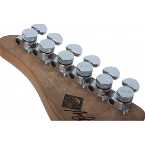 Электрогитара SCHECTER NICK JOHNSTON TRAD H/S/S AFST