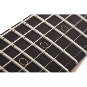 Электрогитара SCHECTER NICK JOHNSTON TRAD H/S/S AFST